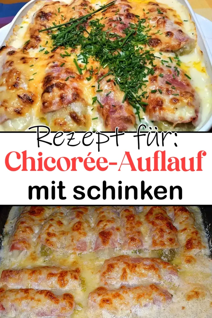 Chicorée-Auflauf Rezept