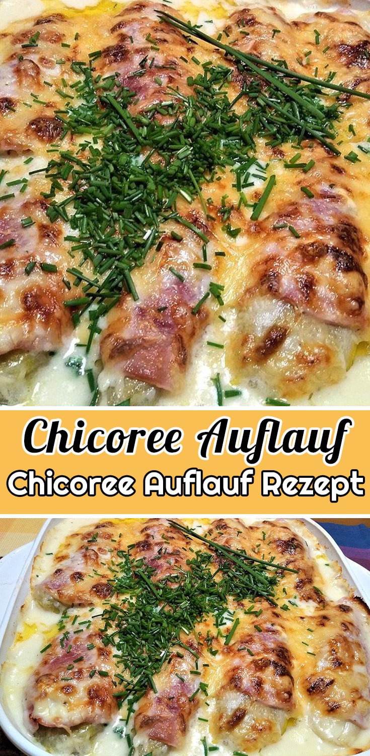 Chicorée-Auflauf Rezept