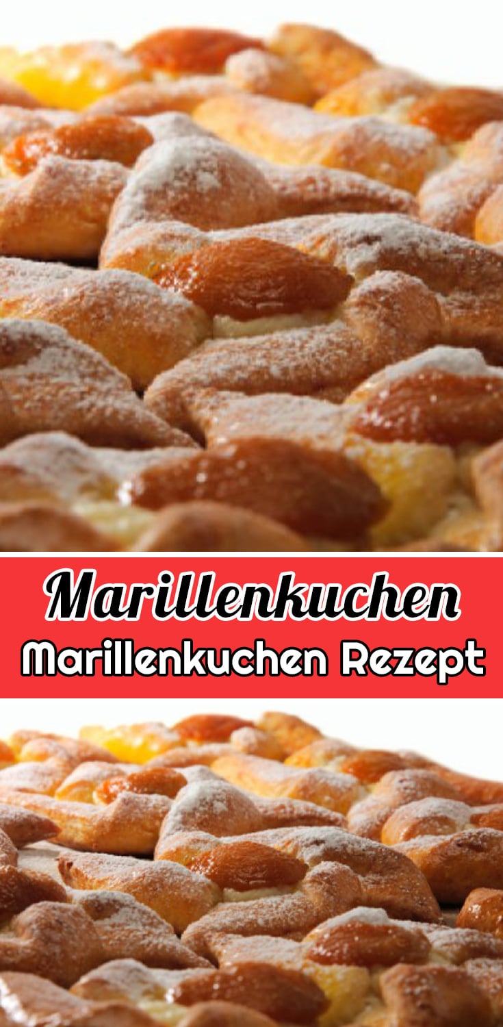 Marillenkuchen Rezept