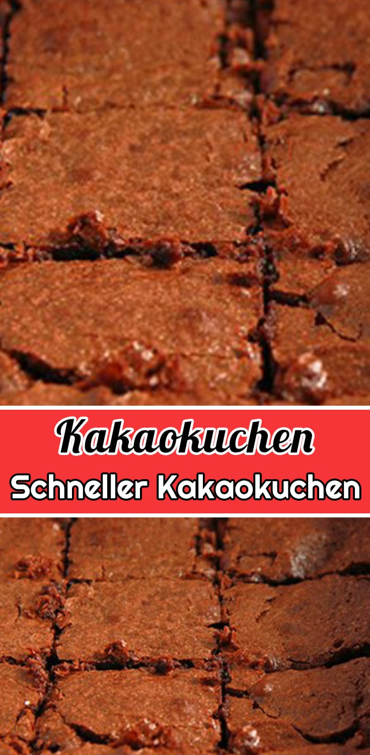 Schneller Kakaokuchen Rezept