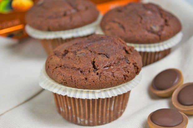 Toffifee Kuchen Rezept