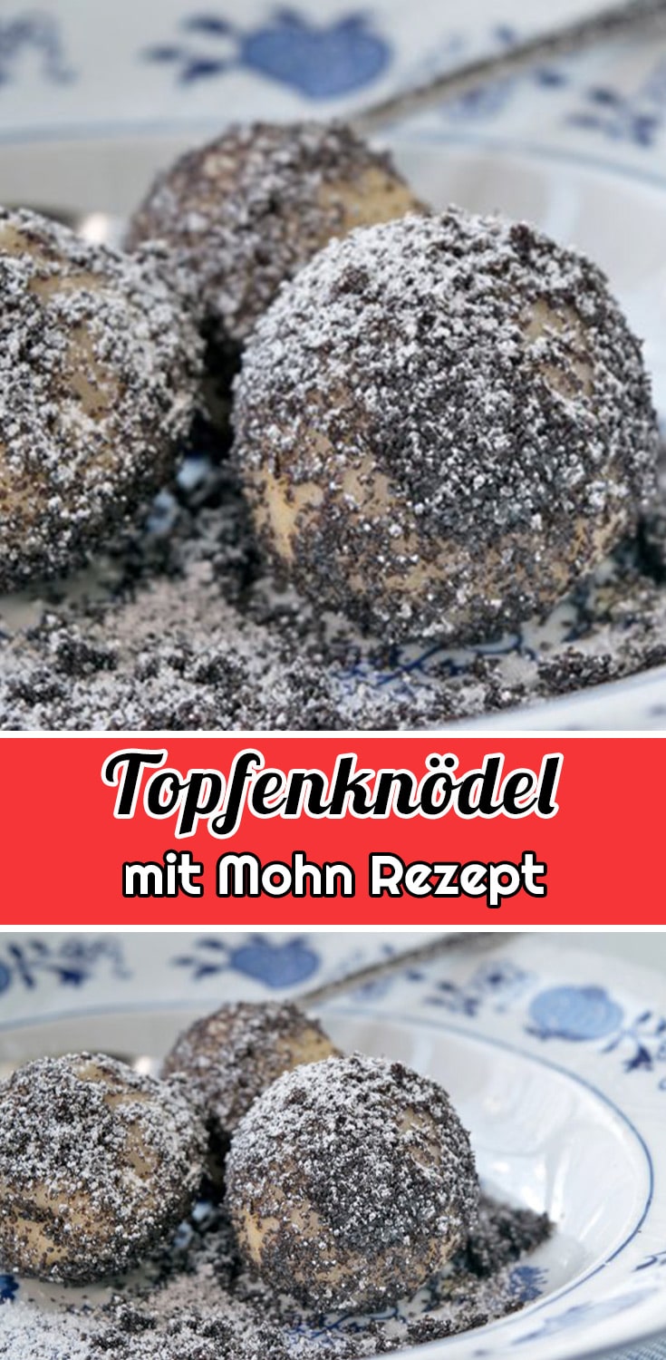 Topfenknödel mit Mohn Rezept