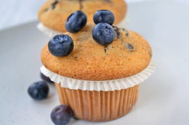 White Chocolate Blueberry Muffins Rezept