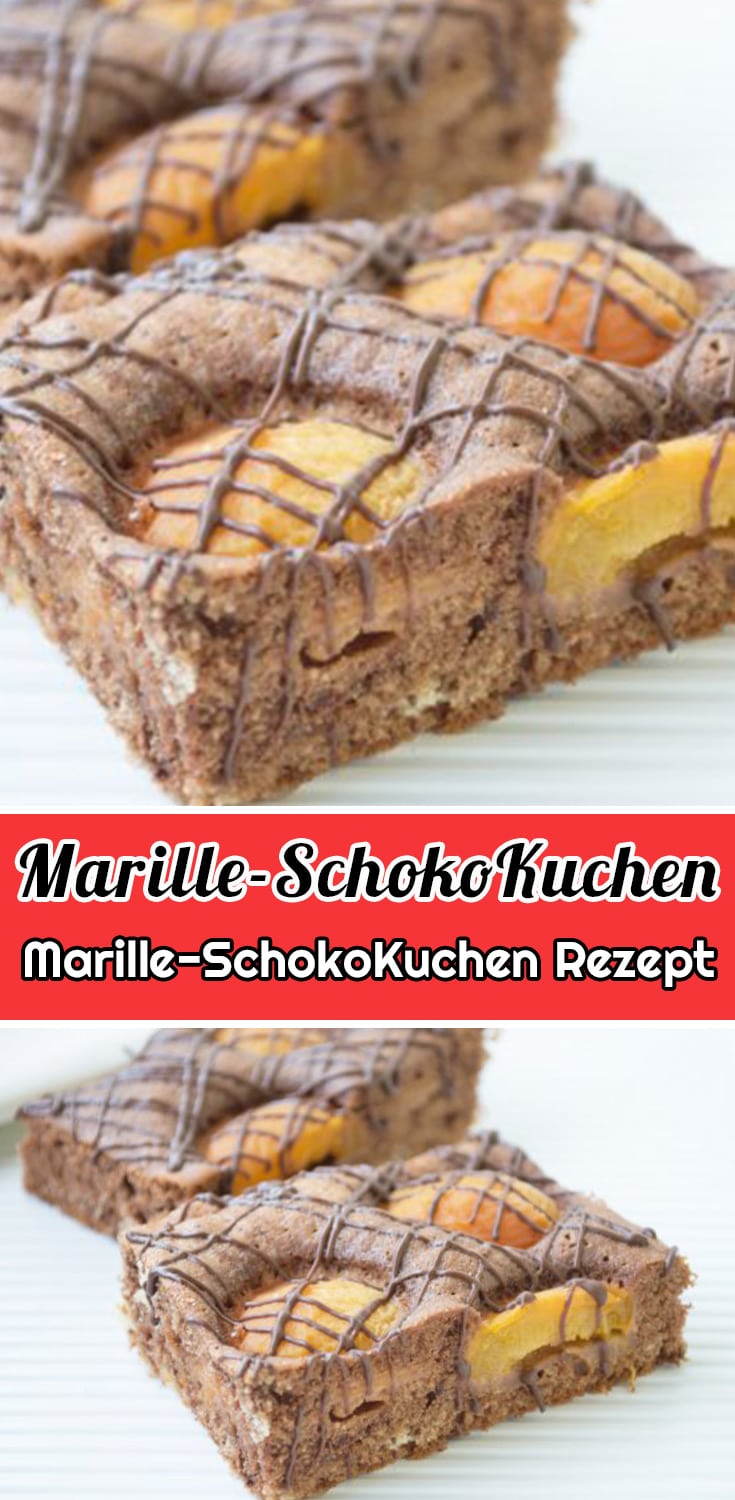 Marille-SchokoKuchen Rezept