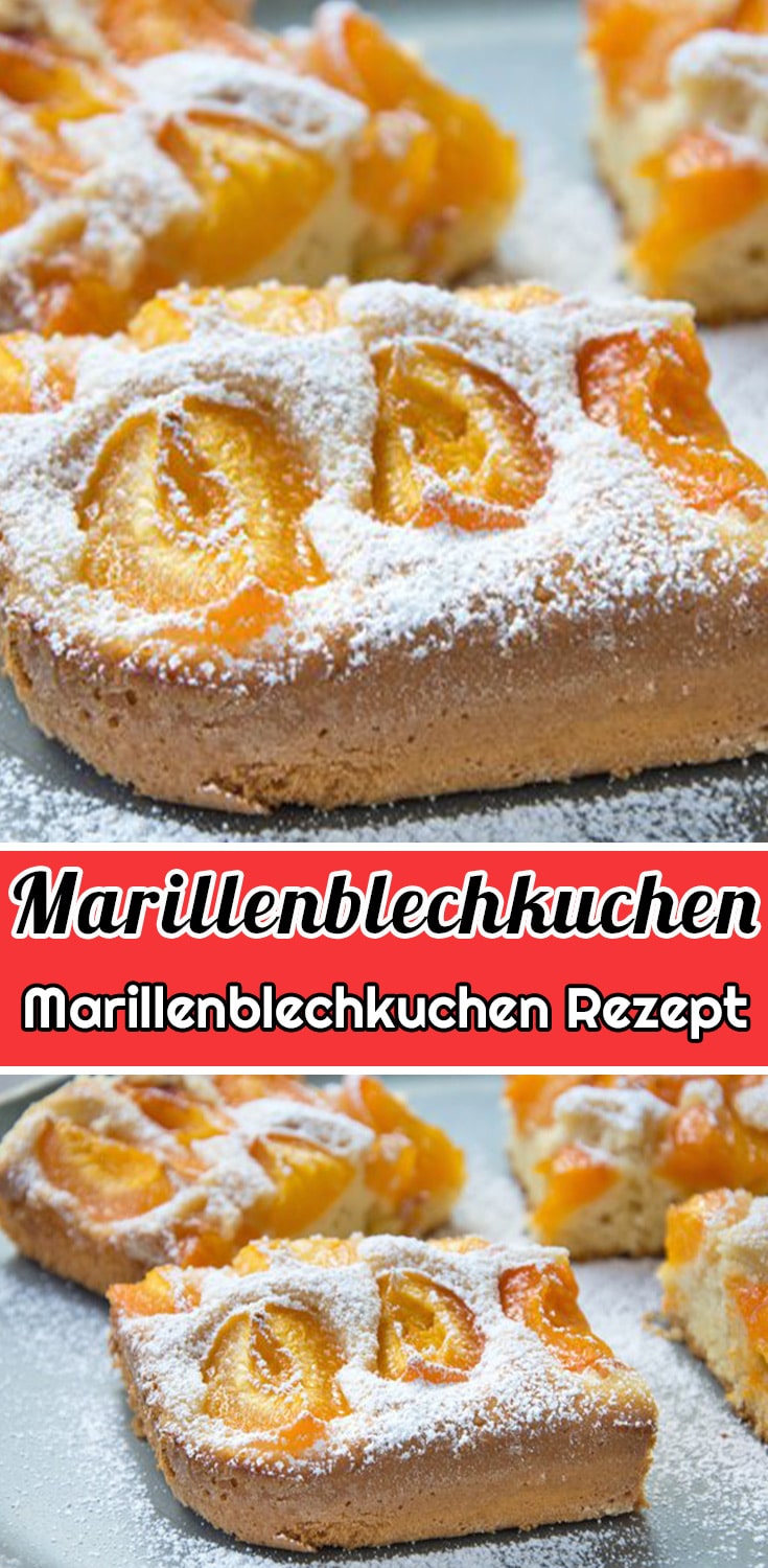 Marillenblechkuchen Rezept