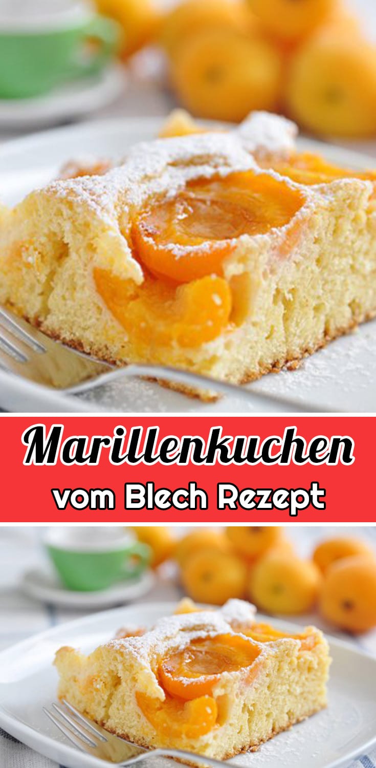 Marillenkuchen vom Blech Rezept