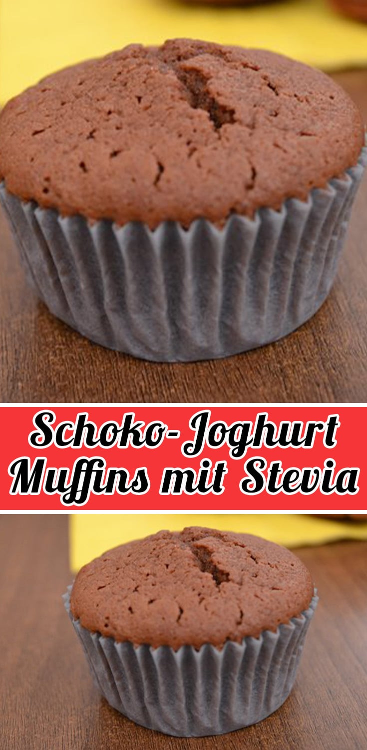 Schoko-Joghurt Muffins mit Stevia Rezept