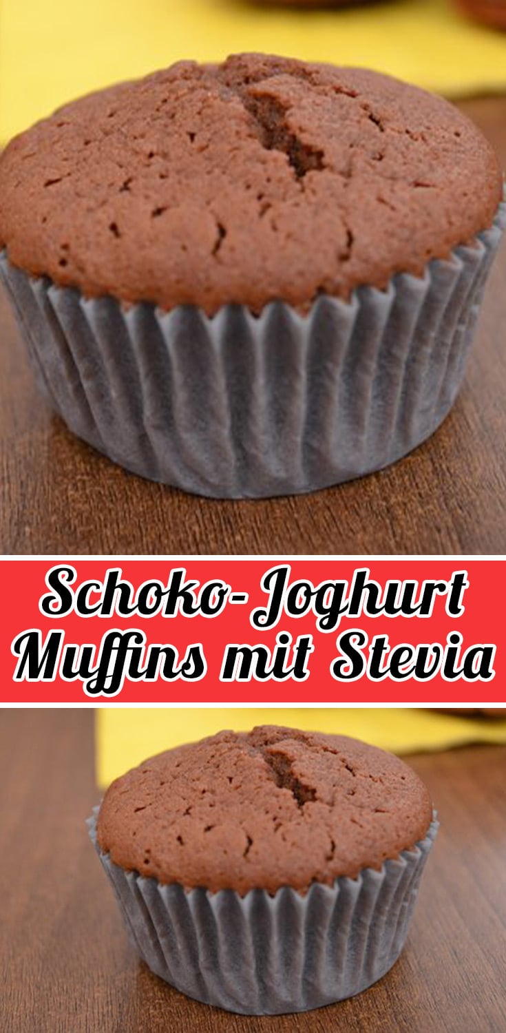 Schoko-Joghurt Muffins mit Stevia Rezept - Einfache Muffins Rezepte