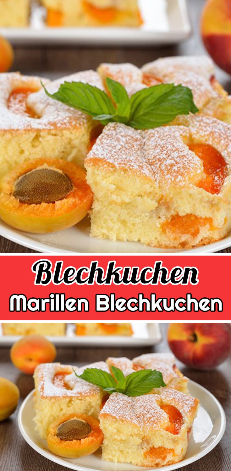 Marillen Blechkuchen Rezept