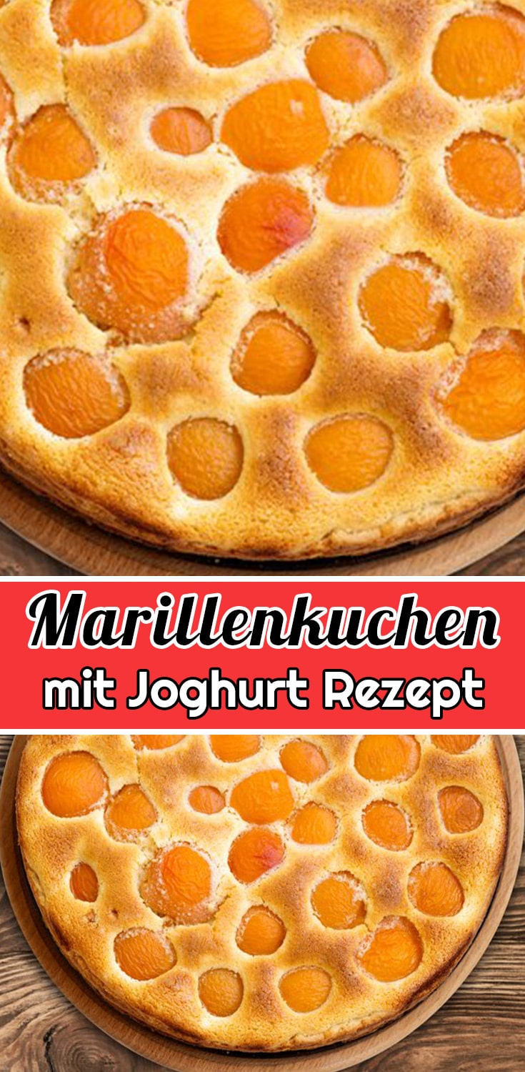 Marillenkuchen mit Joghurt Rezept