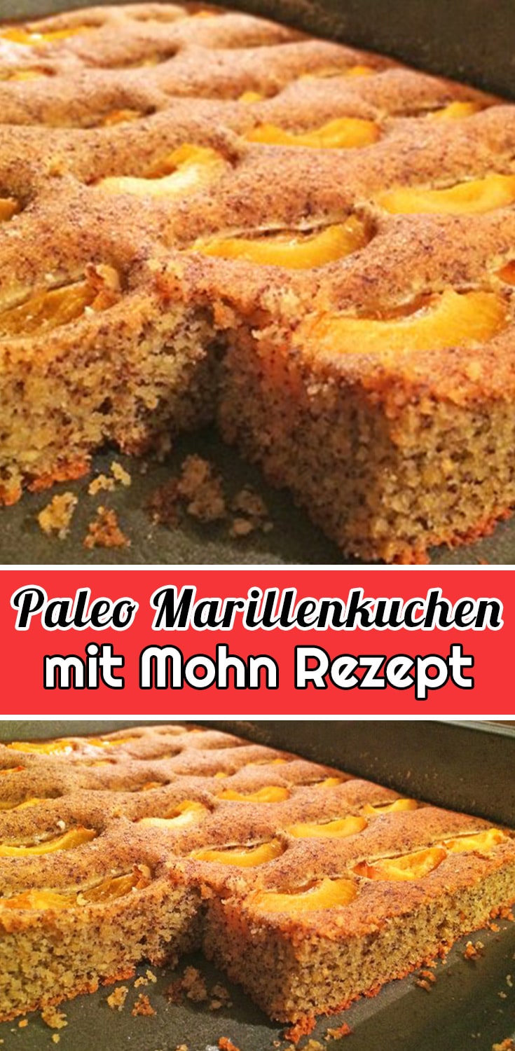 Paleo Marillenkuchen mit Mohn Rezept - Einfache Kuchen Rezepte