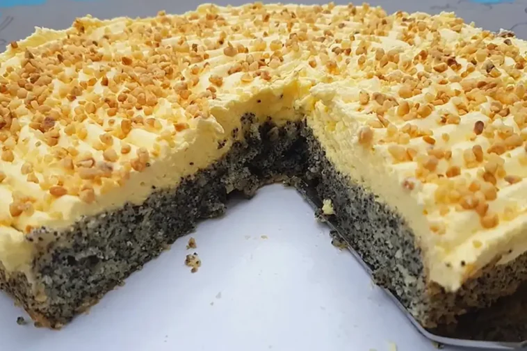 Super schneller Mohnkuchen ohne Boden mit Paradiescreme und ...