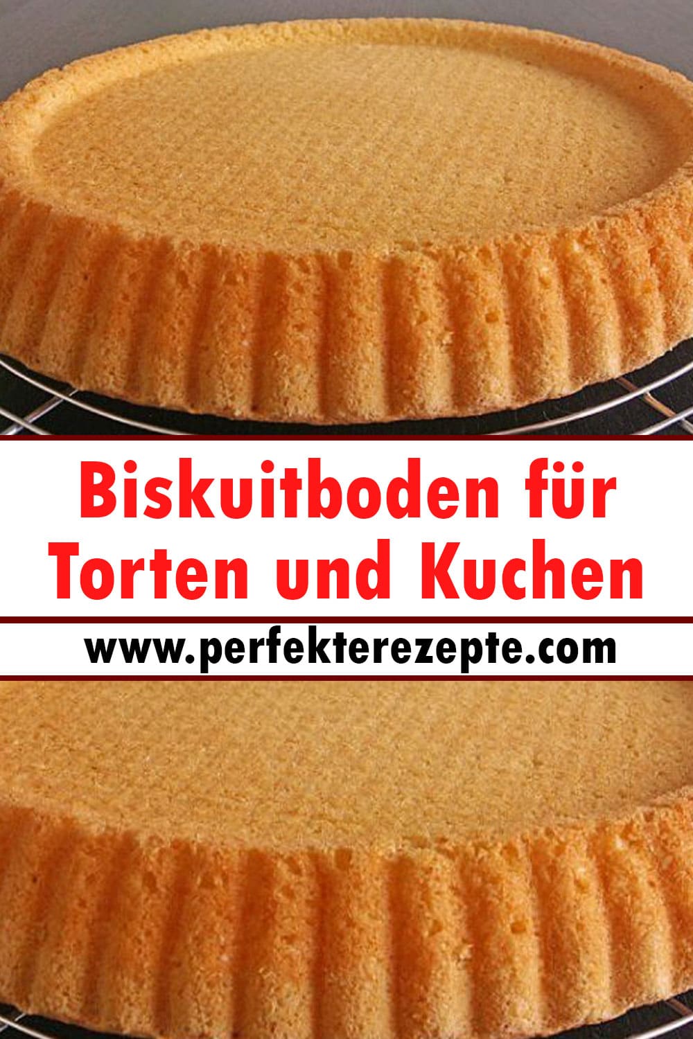 Biskuitboden für Torten und Kuchen Rezept