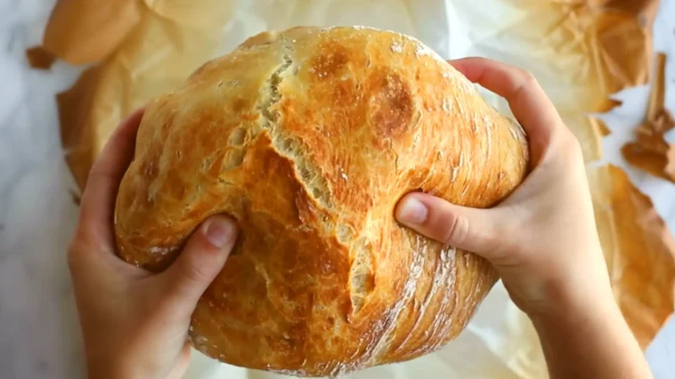 Brot Rezept (weich und knusprig) - Schnelle und Einfache Rezepte