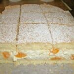 Mandarinen – Quark – Schnitten Rezept
