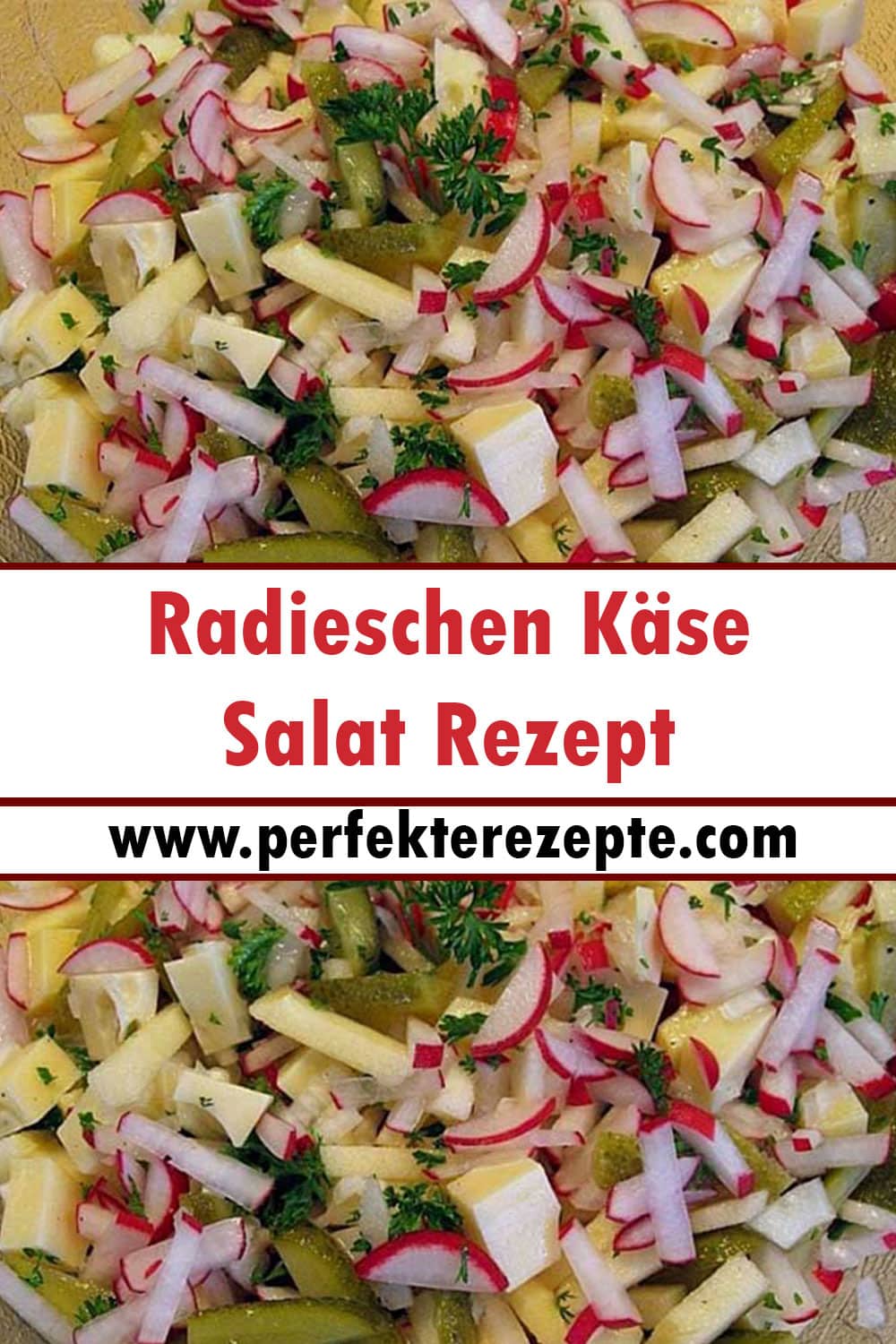 Radieschen Käse Salat Rezept