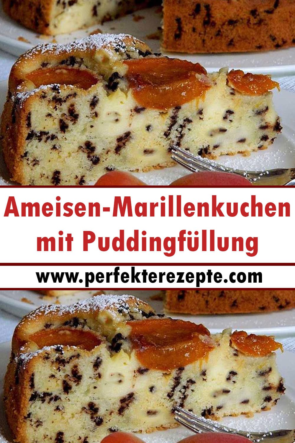 Ameisen-Marillenkuchen mit Puddingfüllung Rezept