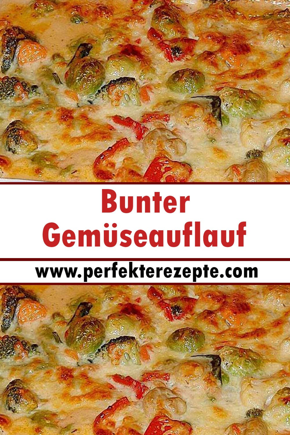 Bunter Gemüseauflauf Rezept