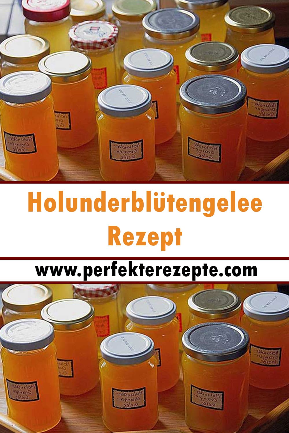 Holunderblütengelee Rezept