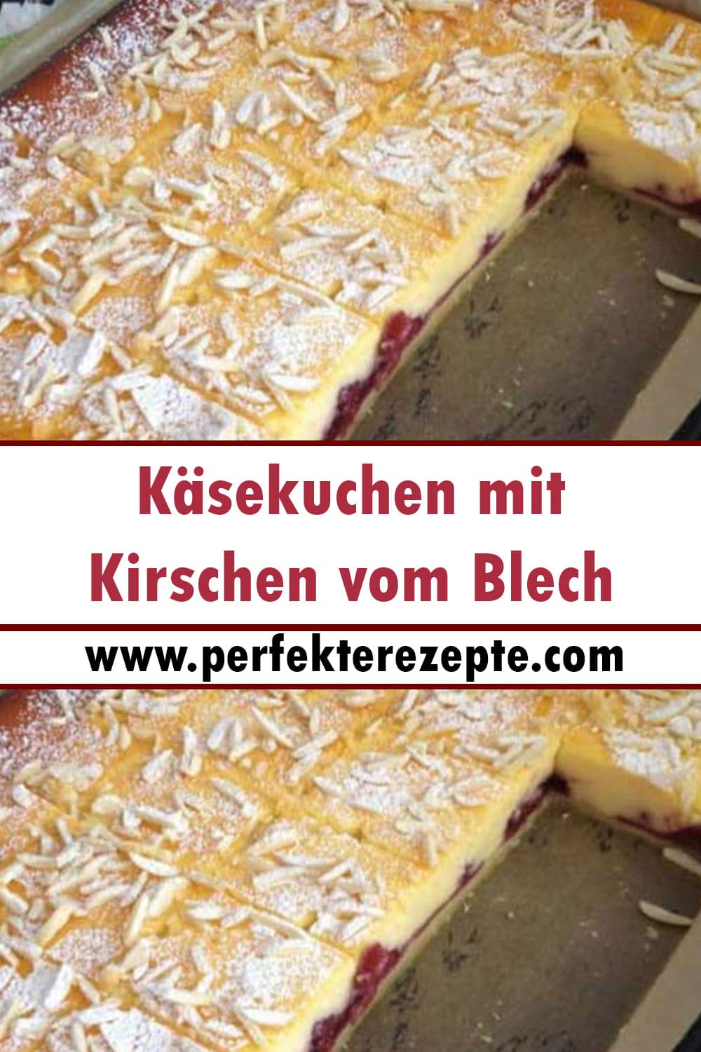 Käsekuchen mit Kirschen vom Blech Rezept