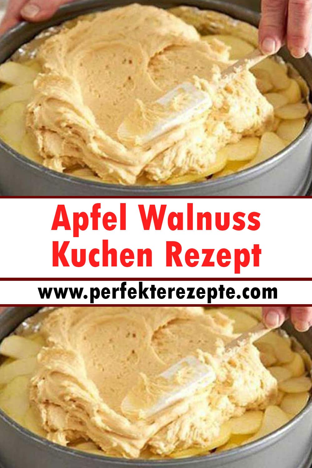 Apfel Walnuss Kuchen Rezept