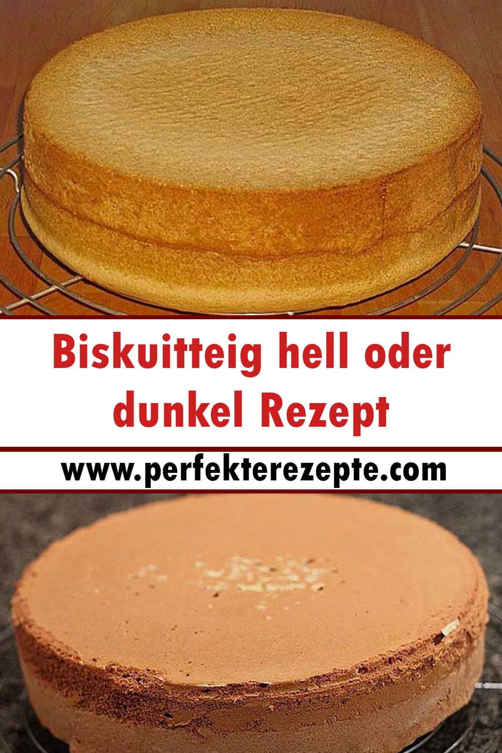 Biskuitteig hell oder dunkel Rezept