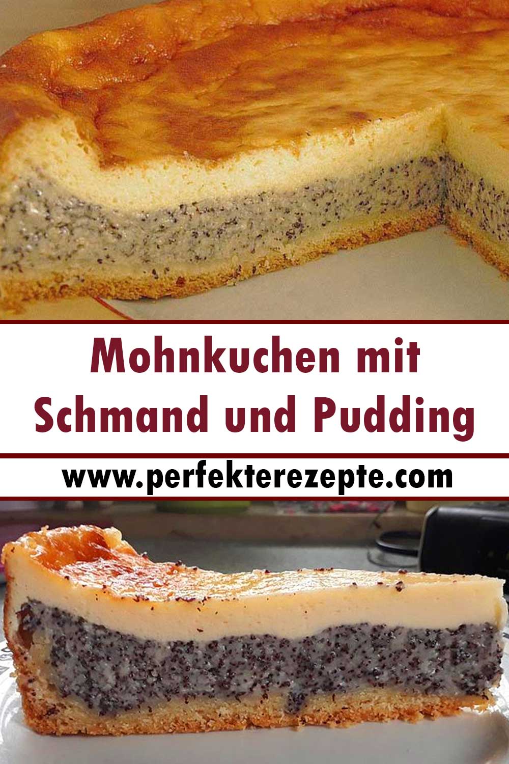 Mohnkuchen mit Schmand und Pudding Rezept