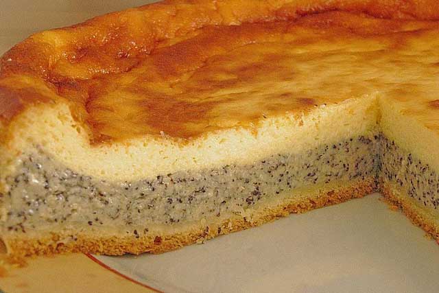 Mohnkuchen mit Schmand und Pudding Rezept