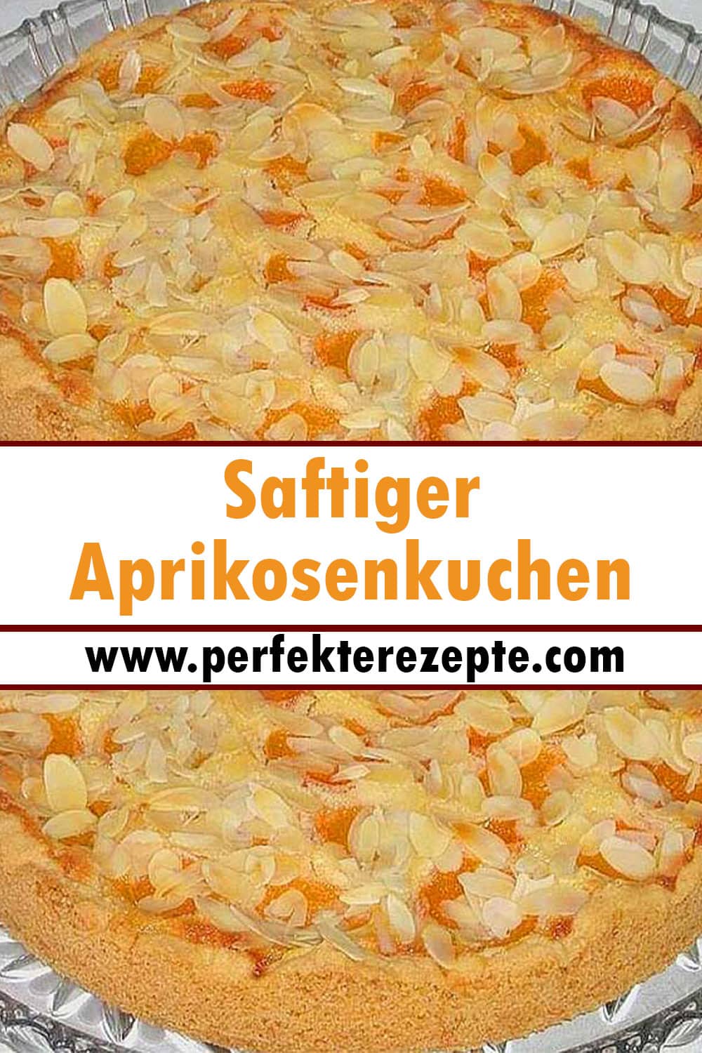 Saftiger Aprikosenkuchen Rezept