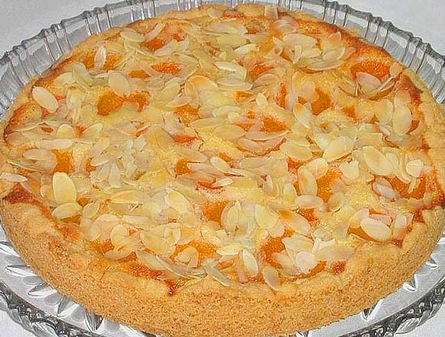 Saftiger Aprikosenkuchen Rezept