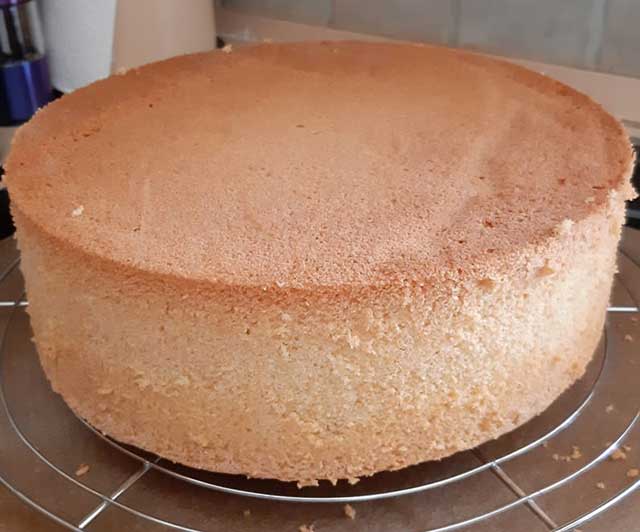 Schneller Biskuitboden für 26er Springform Rezept