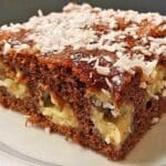 Schoko-Kokos Duo Schnitten Rezept