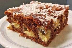 Schoko-Kokos Duo Schnitten Rezept