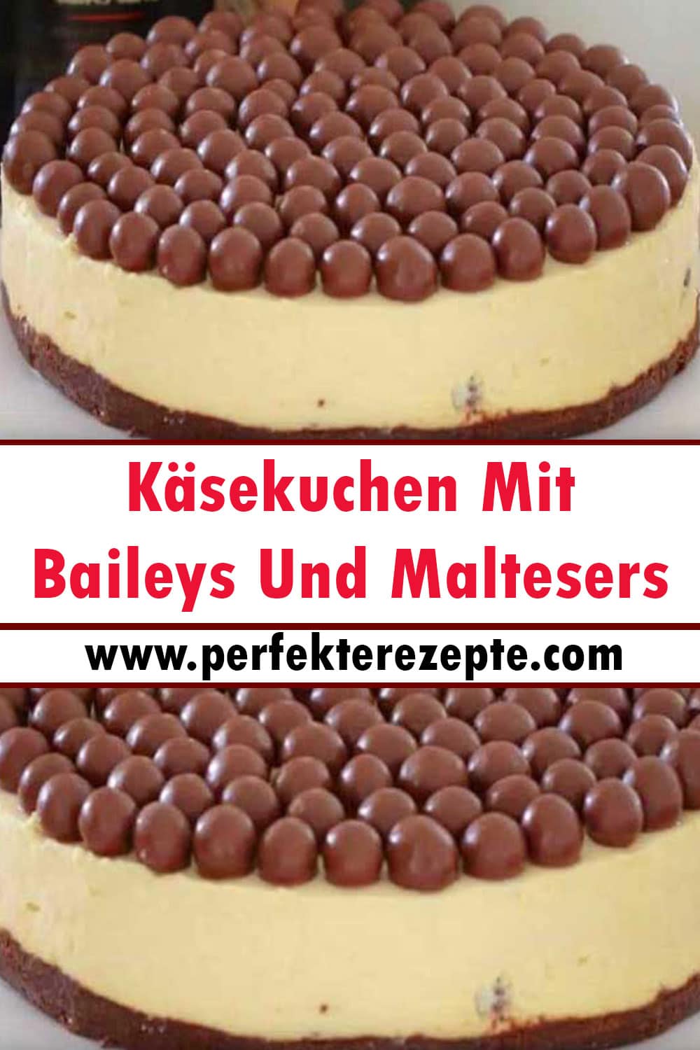 Weisse Schokolade Käsekuchen Mit Baileys Und Maltesers Rezept