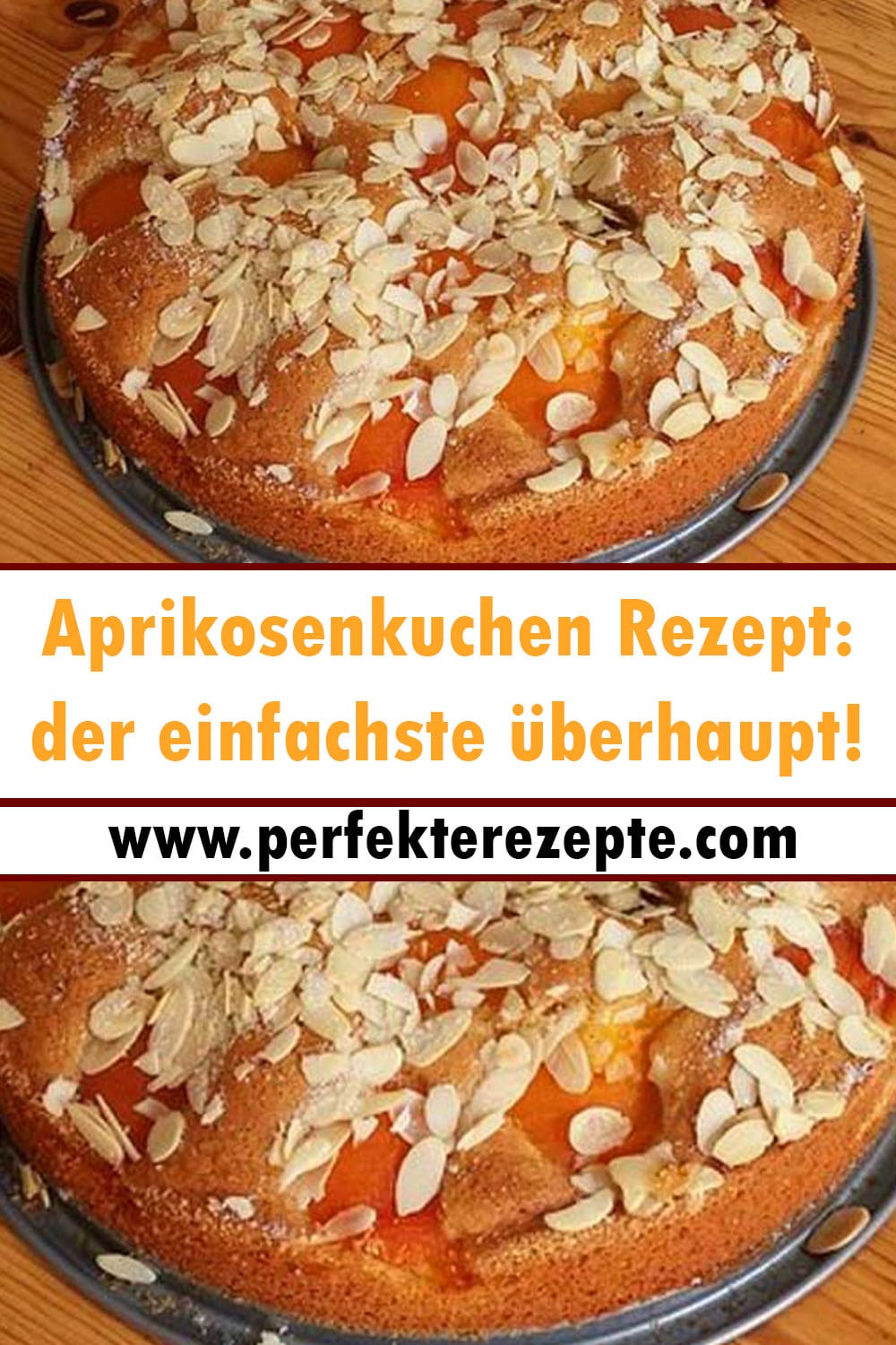 Aprikosenkuchen Rezept: der einfachste überhaupt!