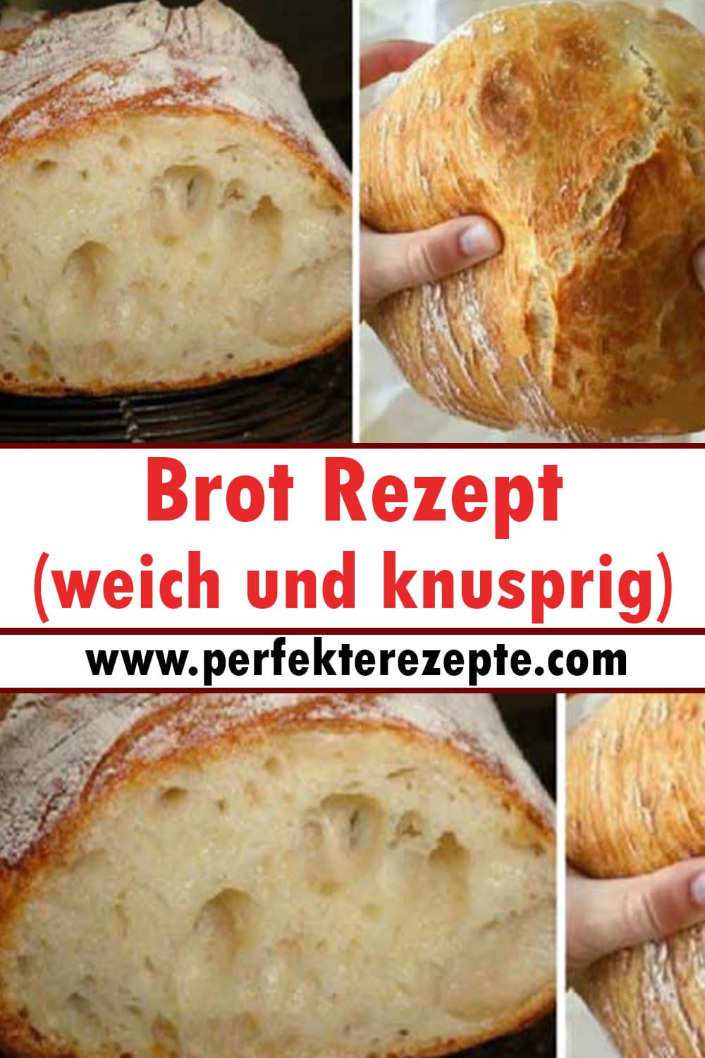 Brot (weich und knusprig) Rezept