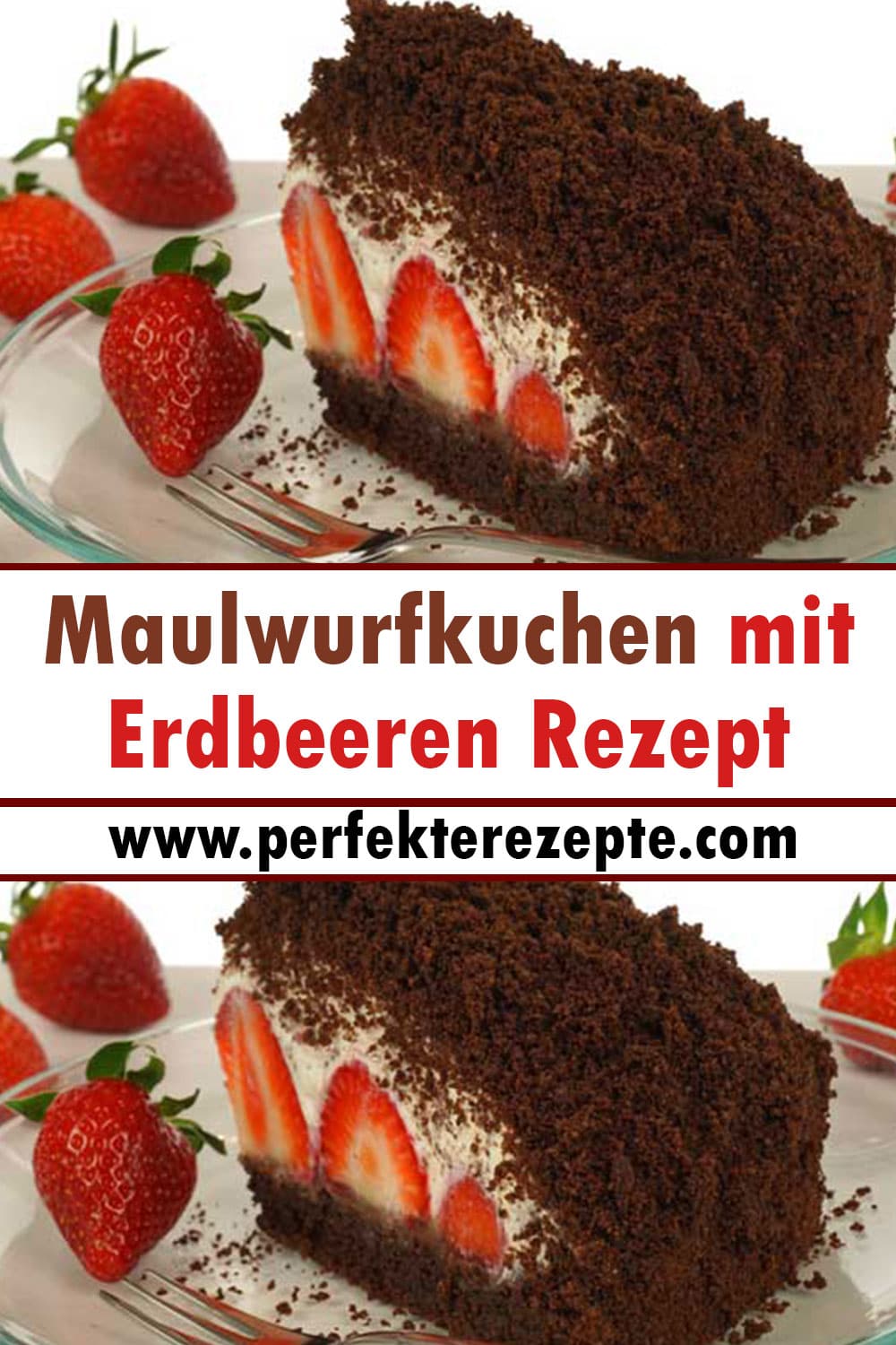 Maulwurfkuchen mit Erdbeeren Rezept