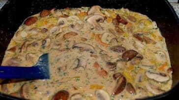 Puten Sahne Gulasch auf Bandnudeln mit Champignons und Pfifferlingen Rezept