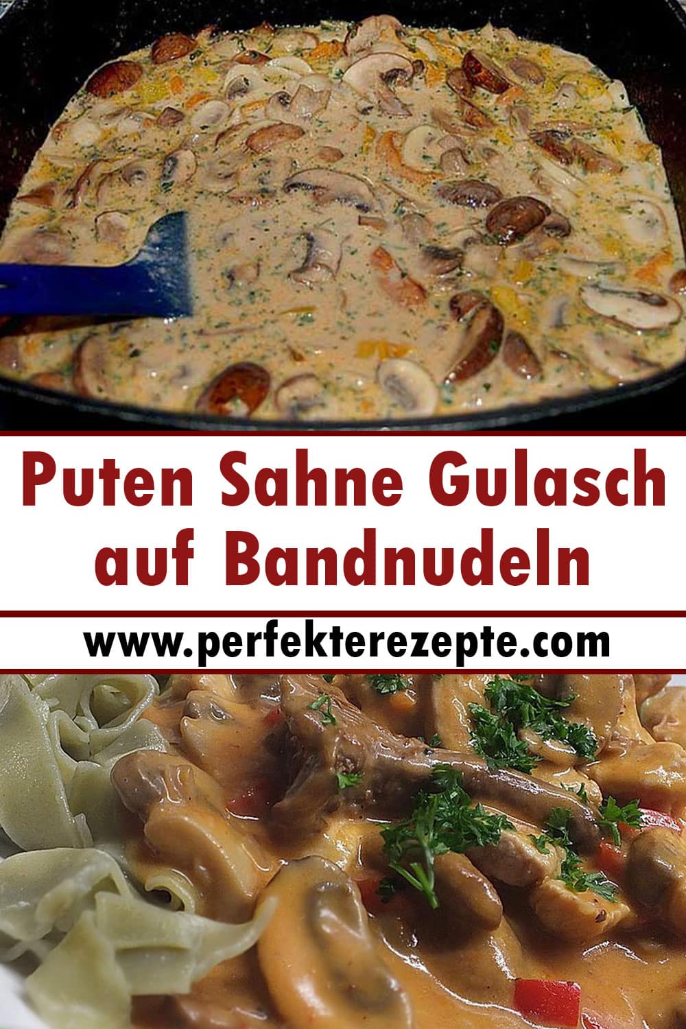 Puten Sahne Gulasch auf Bandnudeln mit Champignons und Pfifferlingen ...