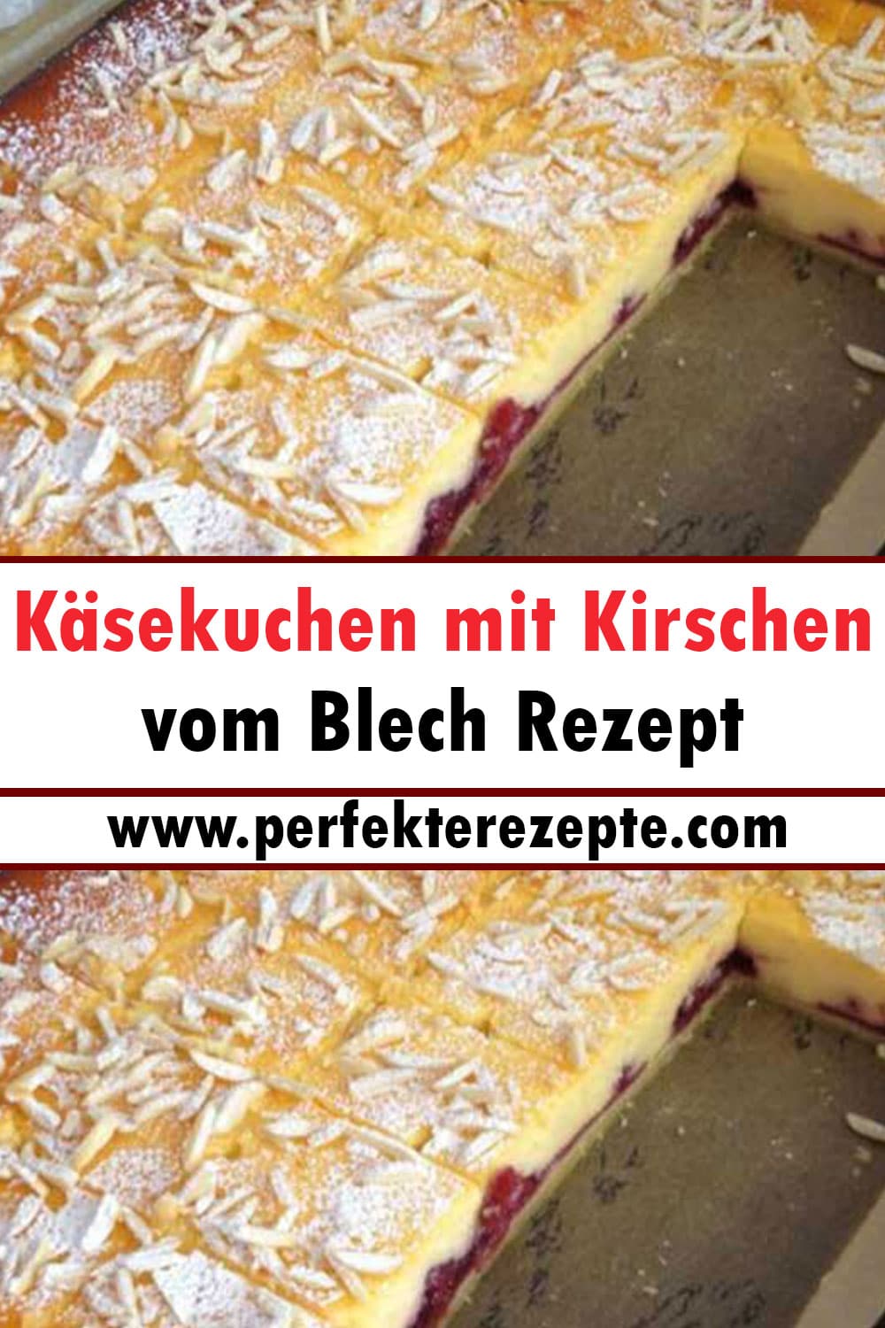 Käsekuchen mit Kirschen vom Blech Rezept