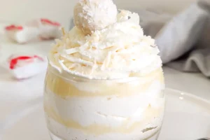 Raffaello Traum Rezept, ich kann nicht genug davon bekommen!