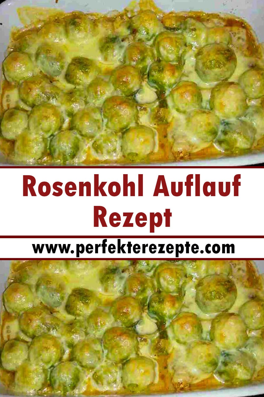 Rosenkohl Auflauf Rezept