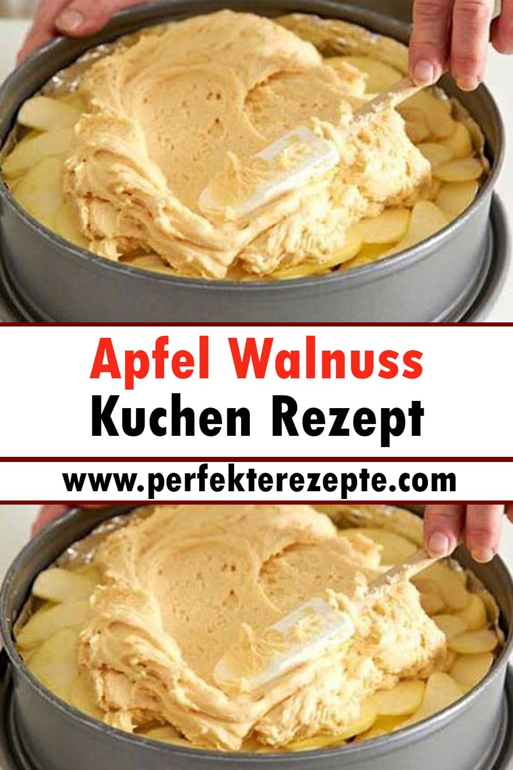 Apfel Walnuss Kuchen Rezept