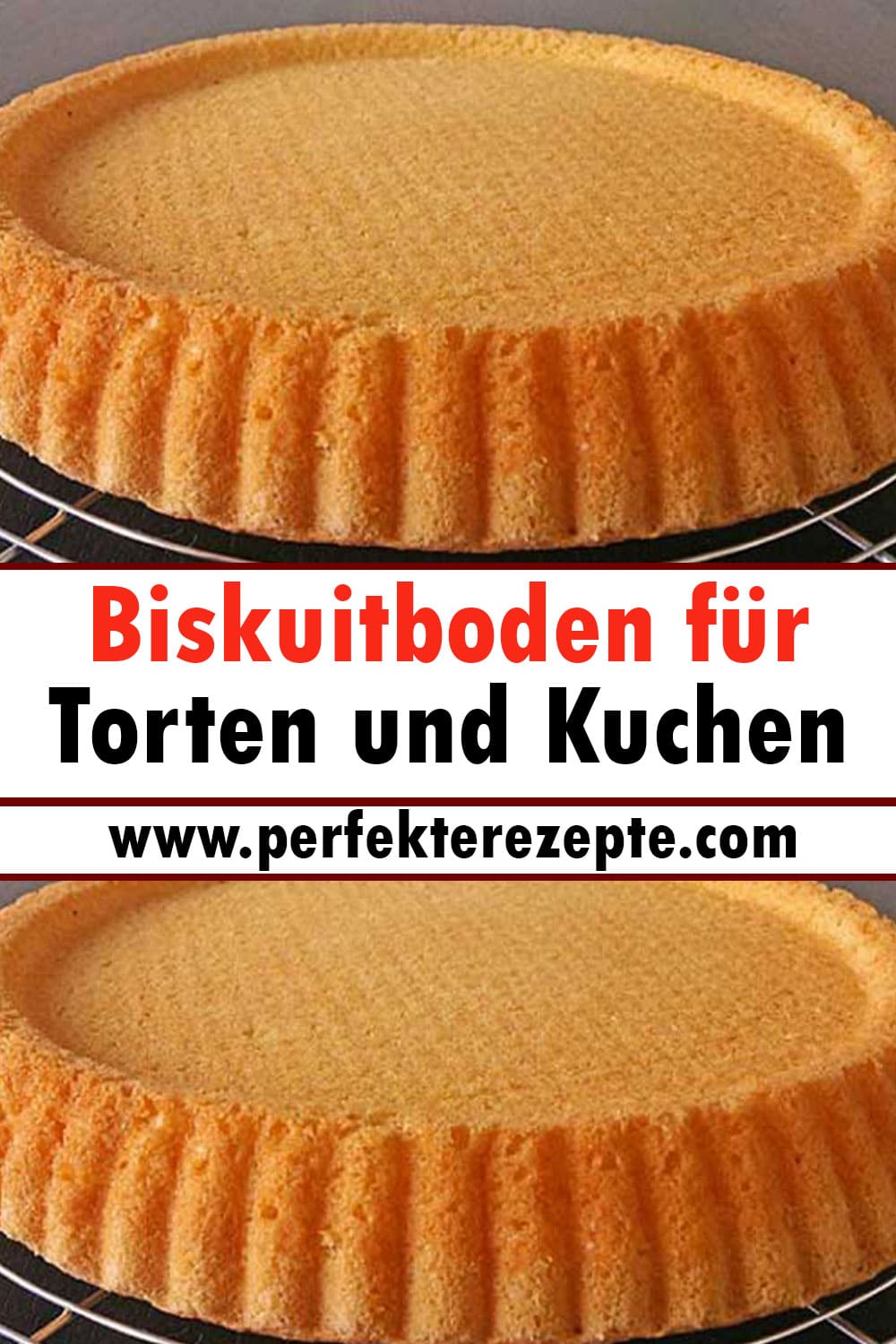 Biskuitboden für Torten und Kuchen Rezept