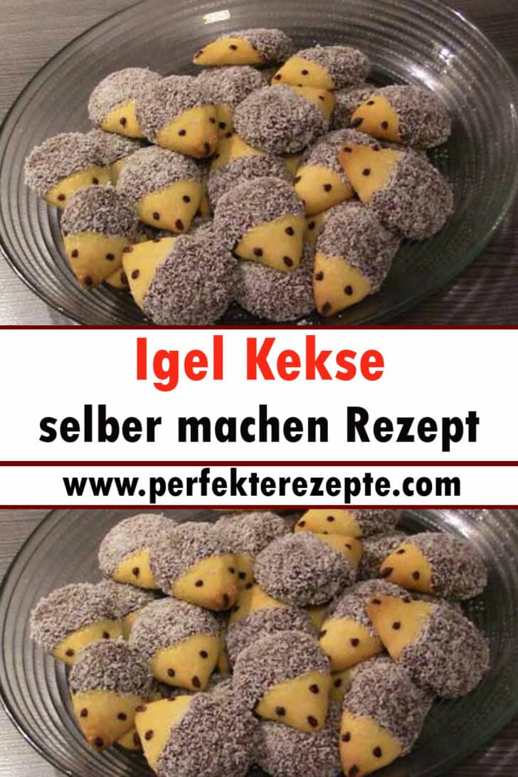 Igel Kekse selber machen Rezept (mit schneller Zubereitung) - Schnelle ...