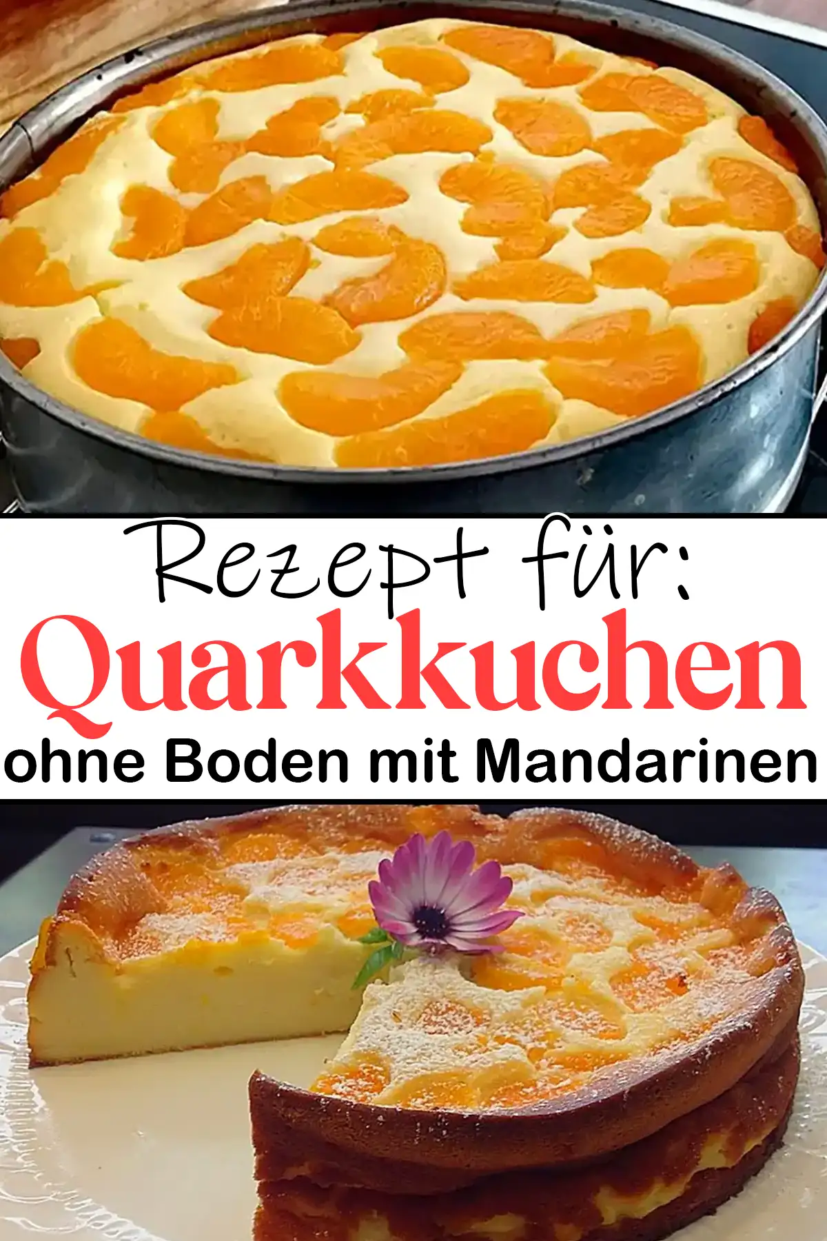 Schneller Quarkkuchen ohne Boden mit Mandarinen - käsekuchen