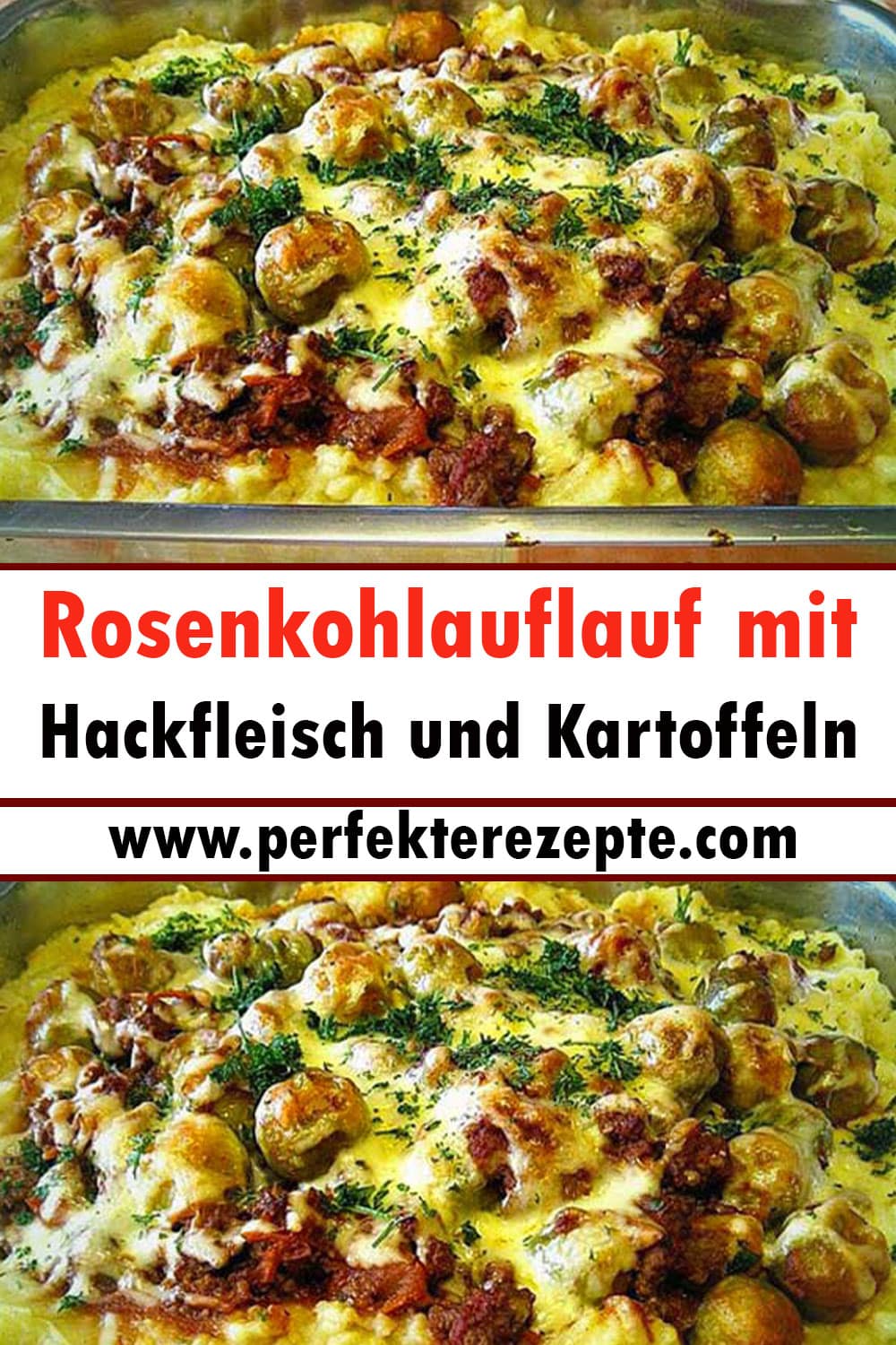 Rosenkohlauflauf mit Hackfleisch und Kartoffeln Rezept