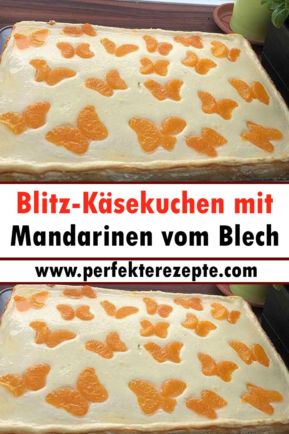 Blitz-Käsekuchen mit Mandarinen vom Blech Rezept