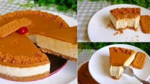 Blitz Käsekuchen ohne Backen Rezept, ich bin süchtig danach geworden!