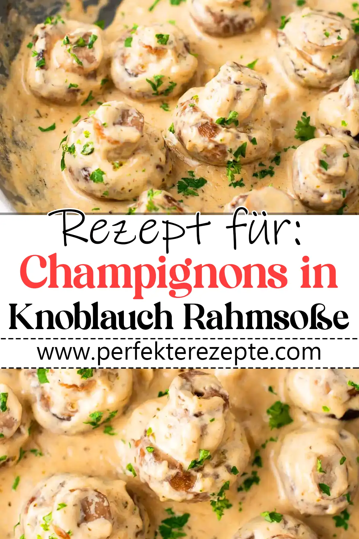 Champignons in leckere Knoblauch Rahmsoße Rezept